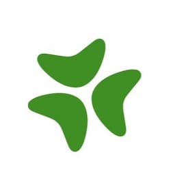 Bloomerang